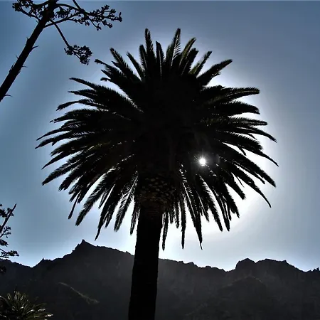 Tenerife Adeje Costa Adeje (Tenerife)