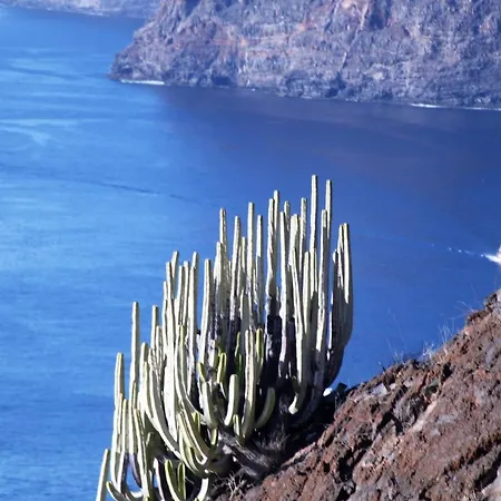 Tenerife Adeje Apartment Costa Adeje (Tenerife)